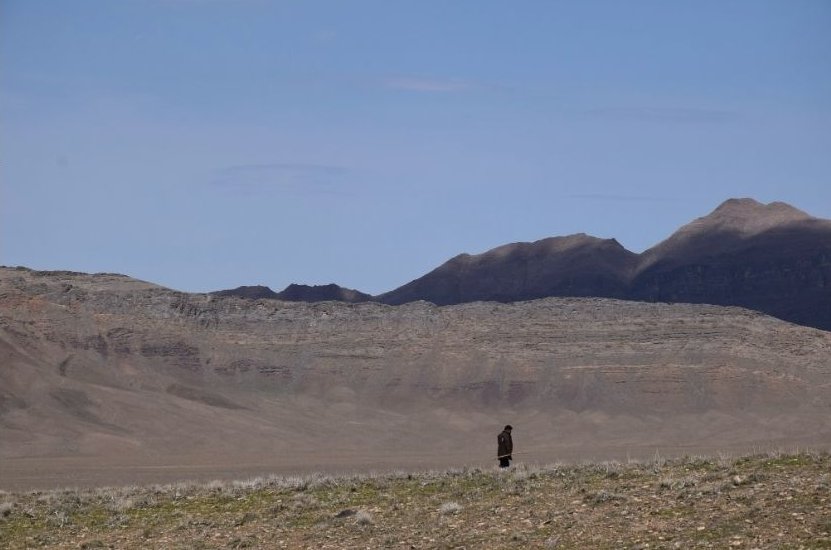 The Virtual Shepherd — still